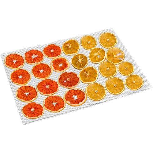 SUBZONAL-10 Pièces Feuilles de Déshydrateur Carrées en Silicone Tapis de Déshydrateur Antiadhésifs pour Fruits Alimentaires Réutilisables Tapis de Cuisson en Filet à Vapeur pour Séchoir à Fruits