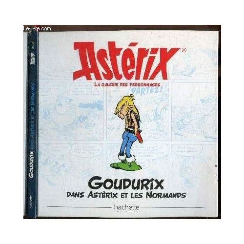 Asterix, La Galerie Des Personnages : Goudurix Dans Asterix Et Les Normands