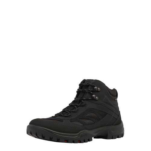 Bottines Lacetsxpedition'