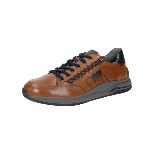 Baskets Bassesturibio 702 J'
