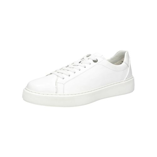 Baskets Basses