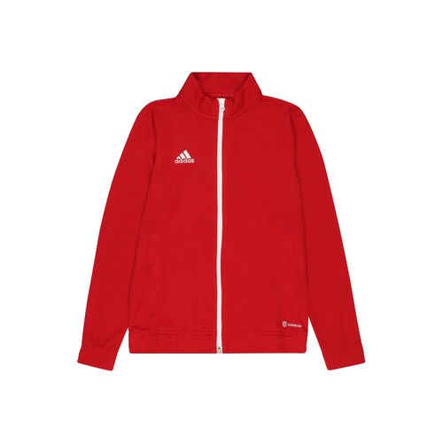 Veste De Sport 'entrada 22'