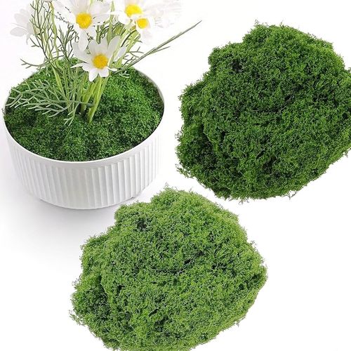 Tianyi-Mousse Artificielle, Fausse Mousse, Mousse Naturelle Decorative Mousse De Bricolage Dekomoos Décoration En Mousse Pour Le Modélisme De Noël (Vert Foncé + Vert Clair, 200g)