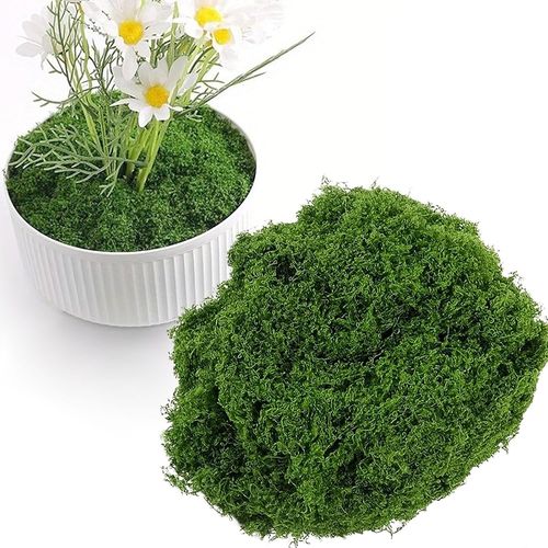 Tianyi-Mousse Artificielle, Fausse Mousse, Mousse Naturelle Decorative Mousse De Bricolage Dekomoos Décoration En Mousse Pour Le Modélisme De Noël (Vert Foncé, 100g)