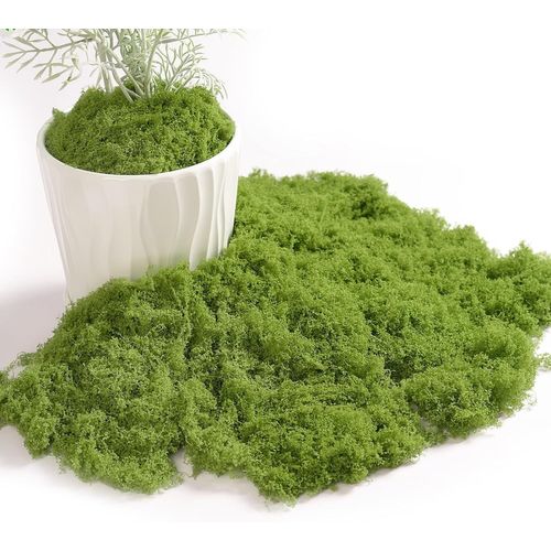 Tianyi-Mousse Artificielle, Fausse Mousse, Mousse Naturelle Decorative Mousse De Bricolage Dekomoos Décoration En Mousse Pour Le Modélisme De Noël (Vert Clair, 100g)