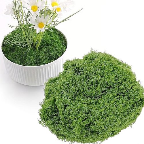 Tianyi-Mousse Artificielle, Fausse Mousse, Mousse Naturelle Decorative Mousse De Bricolage Dekomoos Décoration En Mousse Pour Le Modélisme De Noël (Vert Clair, 200g)