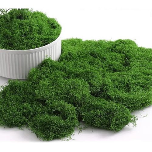 Tianyi-Mousse Artificielle, 200g Mousse Artificielle Decoration, Mousse Stabilisé, Fausse Mousse De Bricolage, Crèche, Aquarium, Crèche, Modélisme, Vert Foncé