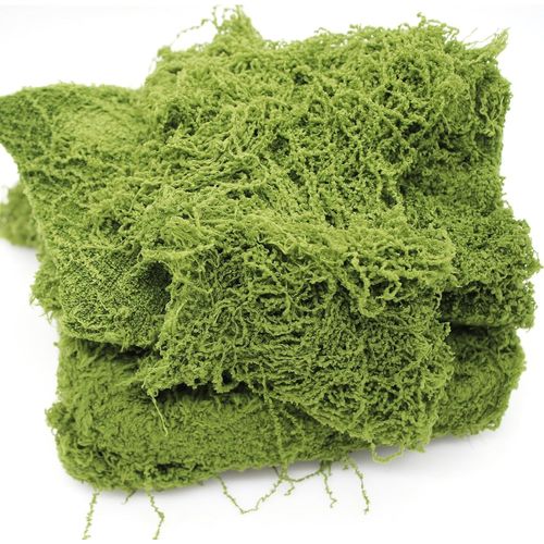 Tianyi-® Mousse Artificielle Decoration 200g Fausse Mousse Florale Nylon Fausse Plante Mousse Végétaux Artificiels Pour Diy Aquarium Modélisme Décoration Maison (Vert Foncé)