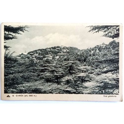 Cpa Carte Postale Chréa Blida Algérie Vue Générale 1550m