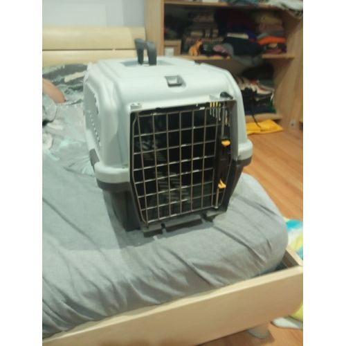 Cage De Transport Petit Animal