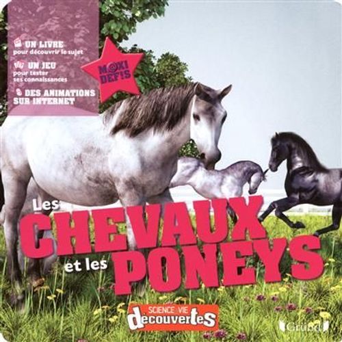 Coffret Les Chevaux Et Les Poneys - Un Livre, Un Jeu, 2 Maquettes...