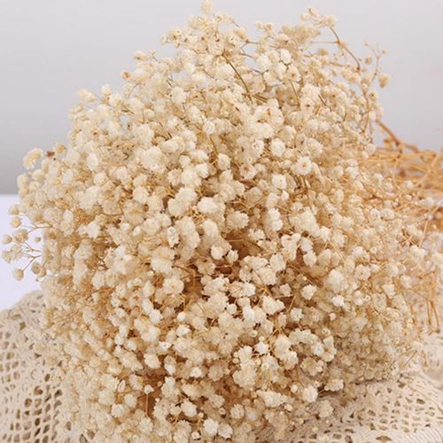 Bouquet de Fleurs séchées pour bébé, 43.7 cm, Plus de 2000 Fleurs Blanches Ivoire, Branches de gypsophile Naturelles pour Mariage, Couronne Florale, décoration de fête de Bureau
