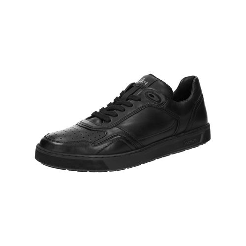 Baskets Bassestedroso 704'