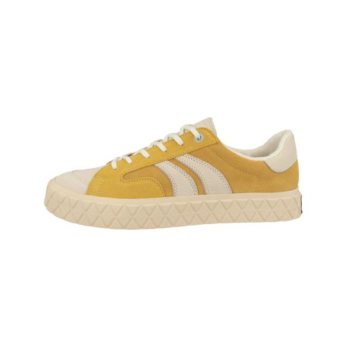 Baskets Basses