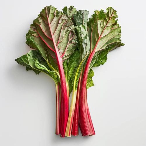 20 Graines De Rhubarbe - Semisauvage Permaculture