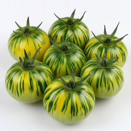 25 Graines De Tomate Green Zebra - Semisauvage Permaculture