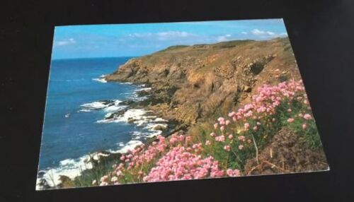 Carte Postale Bretagne Armérie En Fleur Au Printemps En L'état Sur Les Photos