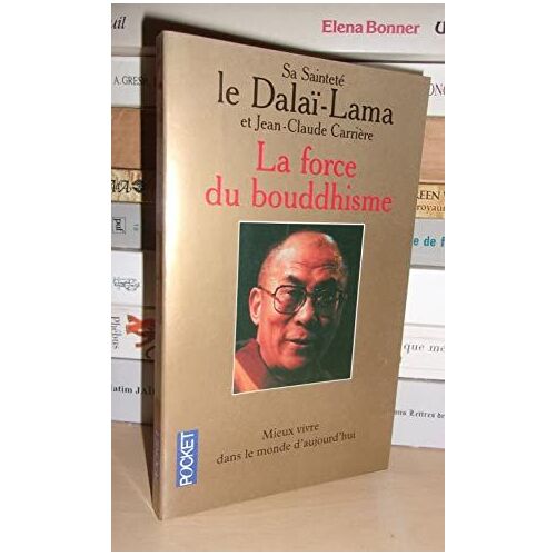 La Force Du Bouddhisme : Mieux Vivre Dans Le Monde D'aujourd'hui