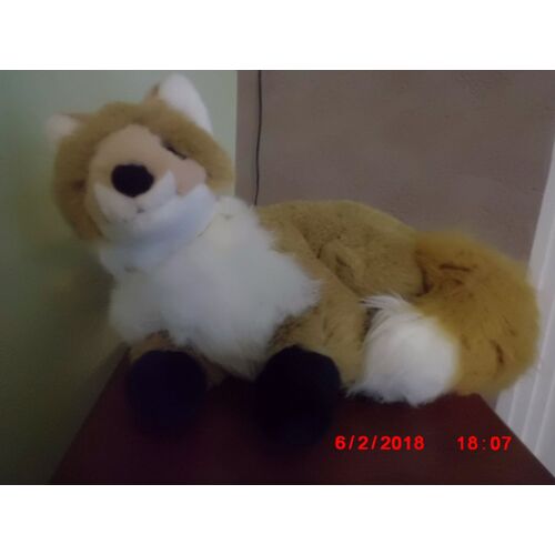 Renard Marron Et Blanc Cp