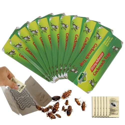 10 pièces cafards maison fort collant cafards receveur insectes antiparasitaire répulsif Non toxique cafards plaque collante receveur tuer - Type 10pcs