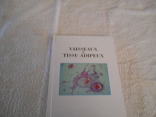 Vaisseaux Et Tissu Adipeux
