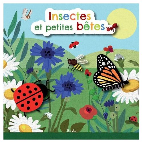 Insectes Et Petites Bêtes