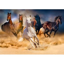 Chevaux Dans Le Désert - Puzzle 1000 Pièces