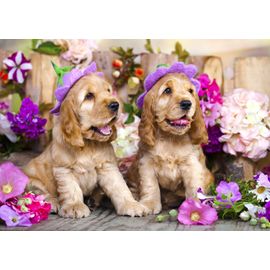 Chiots Aux Chapeaux De Fleurs - Puzzle 1000 Pièces