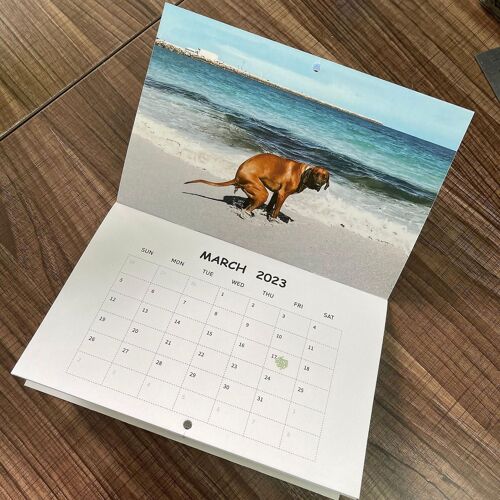 Calendrier 2023, Calendrier mural à suspendre, Calendrier amusant, Calendrier farces et attrapes, Calendrier intéressant pour les échanges de cadeaux, Pour photographe, Amour de la nature