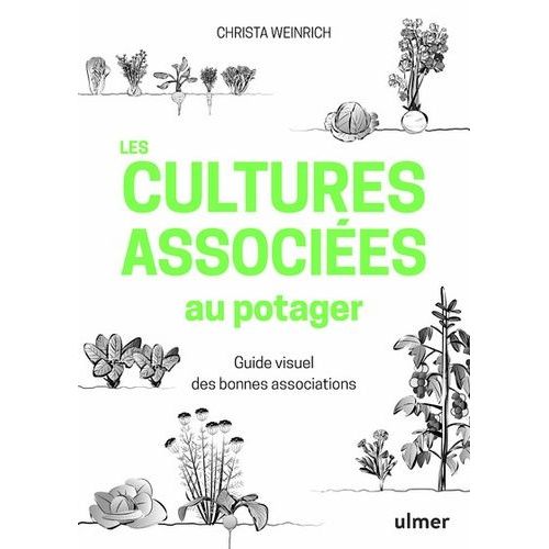 Les Cultures Associées Au Potager - Guide Visuel Des Bonnes Associations