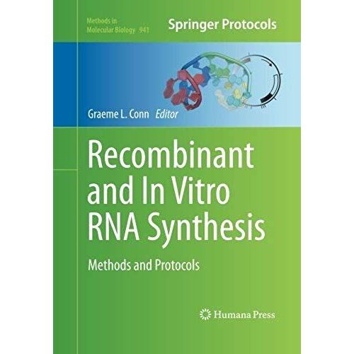 Recombinant And In Vitro Rna Synthesis