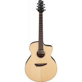 Pa300enslfingerstyle Collection