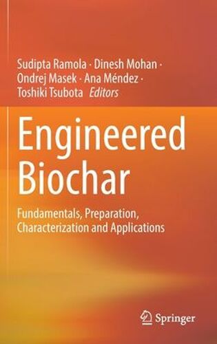 Engineered Biochar