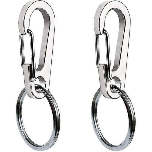 Lot De 2 Pinces Pour Médailles D'identité Pour Chien, En Acier Inoxydable, Robustes Et Rapides