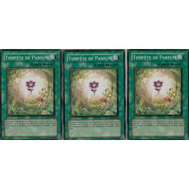 3x Tempete De Parfum - Csoc Fr058