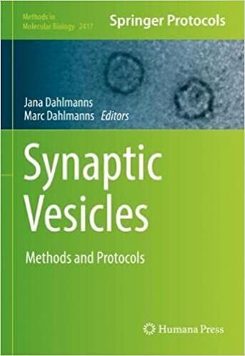 Synaptic Vesicles
