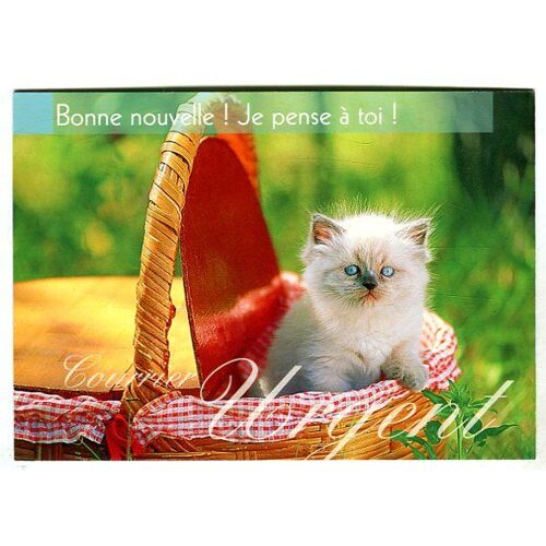 Carte Postale - Collection Courrier Urgent - " Bonne Nouvelle ! Je Pense A Toi ! "