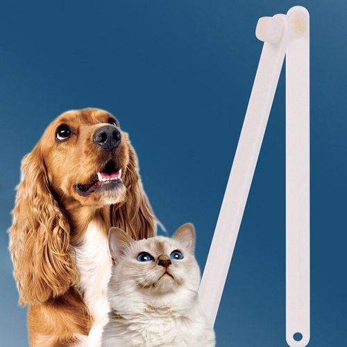 360 Degrés Rond Pu Peau Mauvaise Haleine Enlèvement Cage Soins Dentaires Chien Chat Nettoyage Bouche Chien Chat Produits