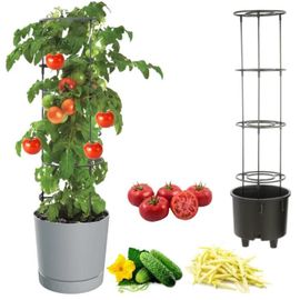 Pot À Légumes Vigne Tomate Concombre Haricot Ø40 Cm Gris Pierre