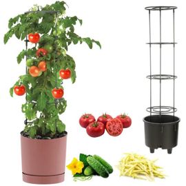 Pot À Légumes Vigne Tomate Concombre Haricot Ø30 Cm Rose
