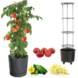 Pot À Légumes Vigne Tomate Concombre Haricot Ø40 Cm Anthracite