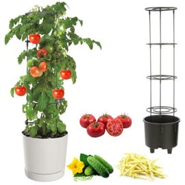 Pot À Légumes Vigne Tomate Concombre Haricot Ø30 Cm Blanc