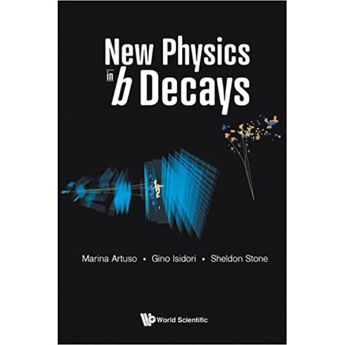 New Physics In B Decays