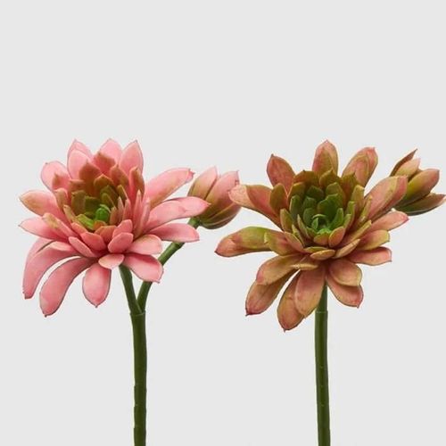 Edg Fiore Artificiale Succulenta Echeveria H18cm Colori Assortiti Rosa, Casa, Accessori Decorativi, Fiori Artificiali