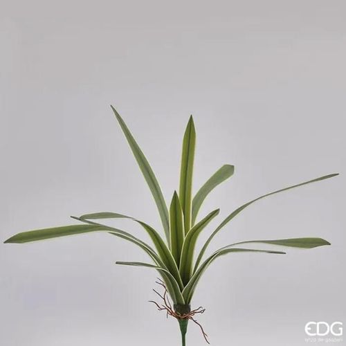 Edg Pianta Artificiale Falangio Real H51cm 12 Foglie, Casa, Accessori Decorativi, Fiori Artificiali