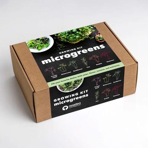 Microgreens Piante Da Interno