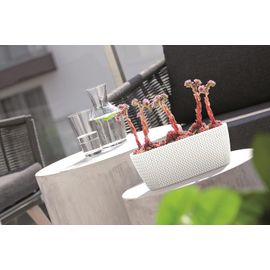 Jardinière Gris Pierre 400 Mm Ovale Pour Balcons Et Intérieurs Modernes