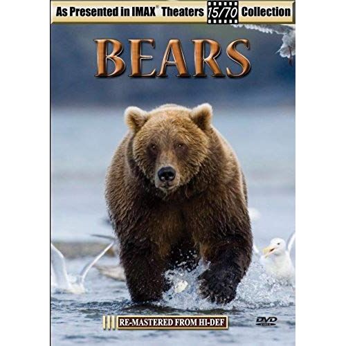 Bears [Dvd] [Region 1] [Us Import] [Ntsc]
