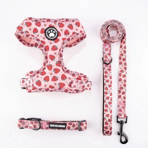 Harnais Pour Chats,Harnais,Laisse,Accessoires,Produits Pour Animaux De Compagnie,Chaton,Produits Pour Animaux De Compagnie,Fournitures De Bande De Poitrine Pour Chatons.Pink Strawberries.L