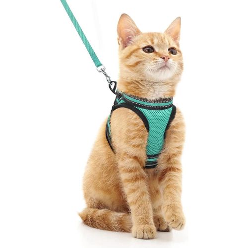 Ensemble Harnais Et Laisse Pour Chat,Pour La Marche,L'évasion,Gilet Pour Chatons Doux Et Réglable Avec Bande Réfléchissante Pour Chats,Confortable.Vert Menthe.M